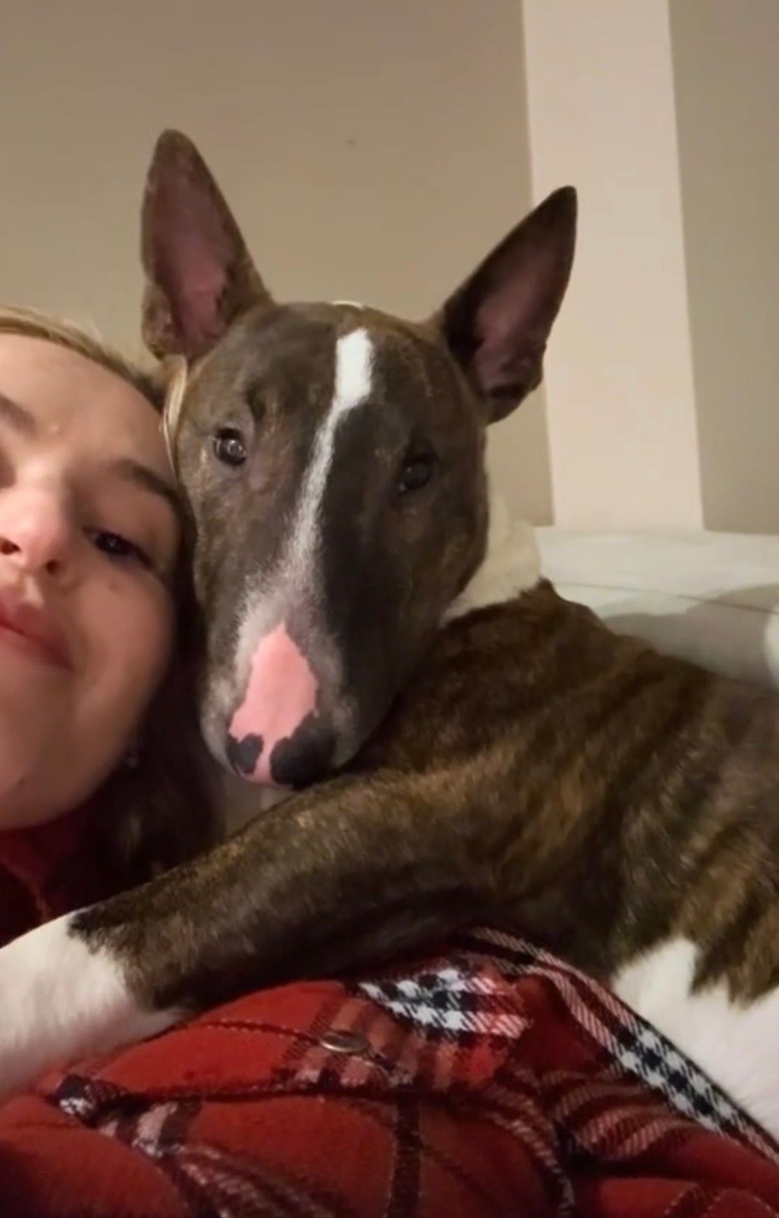Lidija Marjanovic's dog